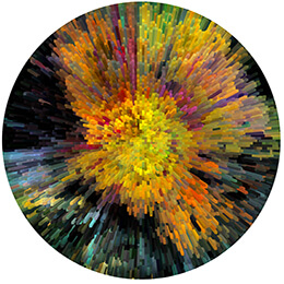 Iris de la Forêt - Coeur